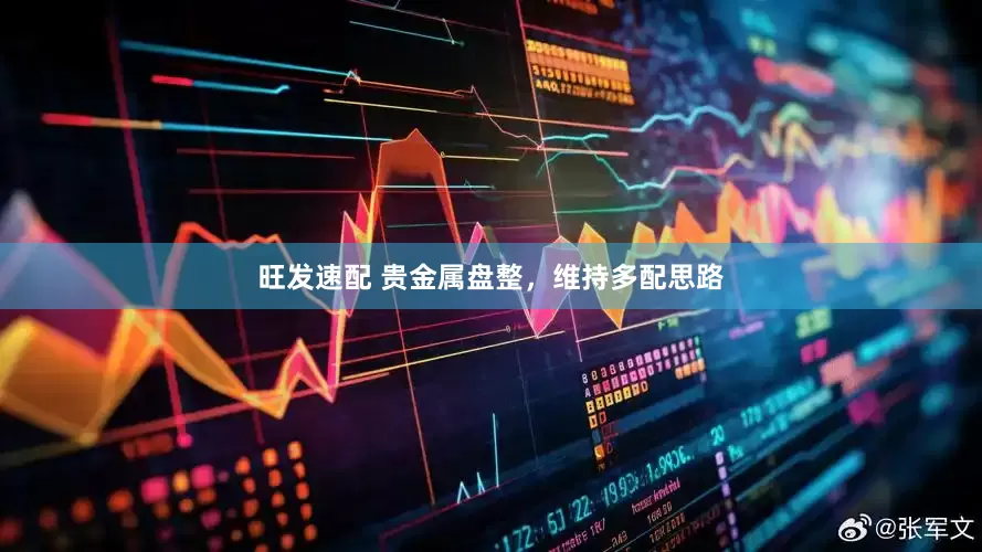 旺发速配 贵金属盘整，维持多配思路