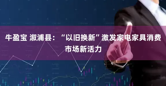 牛盈宝 溆浦县:“以旧换新”激发家电家具消费市场新活力