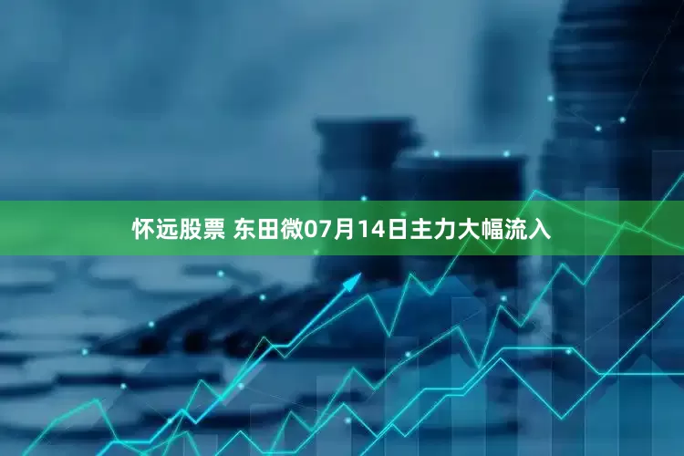 怀远股票 东田微07月14日主力大幅流入
