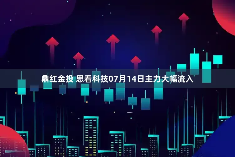 鼎红金投 思看科技07月14日主力大幅流入