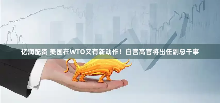 亿润配资 美国在WTO又有新动作！白宫高官将出任副总干事