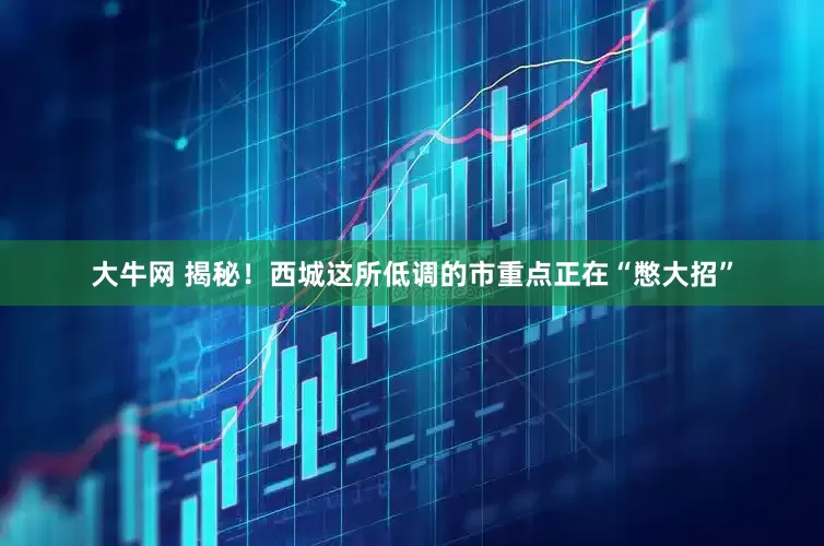 大牛网 揭秘！西城这所低调的市重点正在“憋大招”