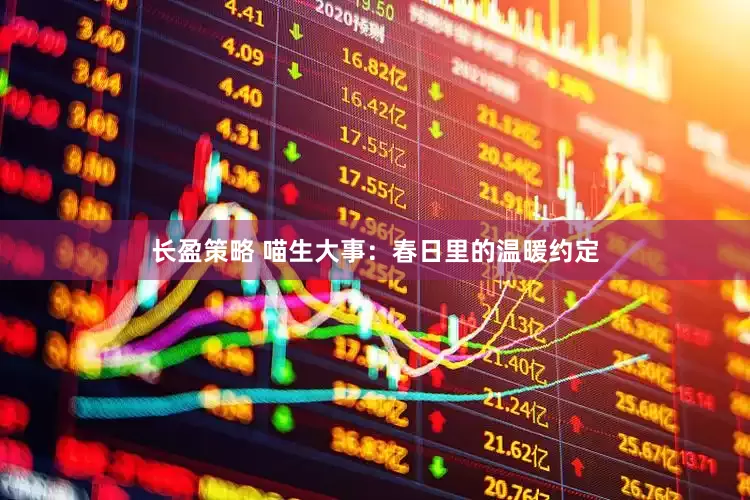 长盈策略 喵生大事：春日里的温暖约定