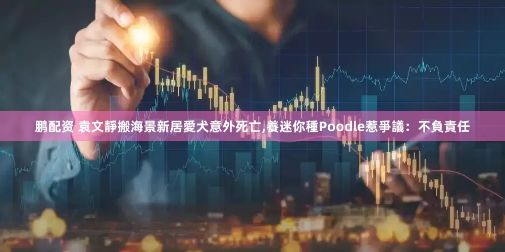 鹏配资 袁文靜搬海景新居愛犬意外死亡,養迷你種Poodle惹爭議：不負責任